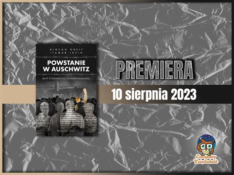 Powstanie w Oksyrynchu: Bunt przeciwko podatom i nierówności społecznej w 5. wieku n.e.